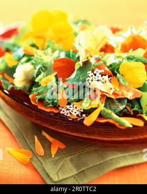 Salade printanière Banque D'Images