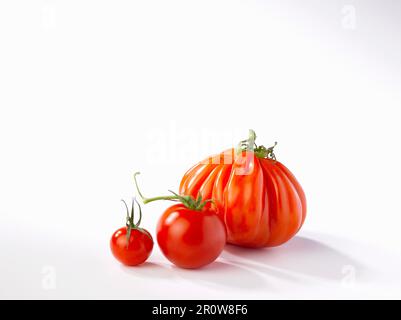 Variété de tomates Banque D'Images