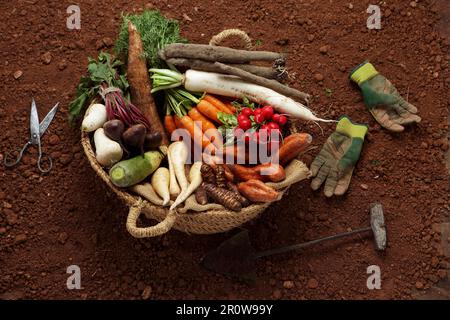 Composition avec tubercules : navets, patates douces, carottes, panais, salsifies et manioc Banque D'Images