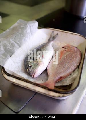 Deux couvre-fruits de mer entiers crus dans une plaque de cuisson Banque D'Images