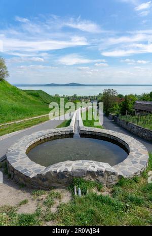 Vignobles jardins de vin au lac Balaton à Baracsony HunGray avec belle vue rue kisfaludy avec fontaine . Banque D'Images