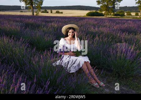 Belle jeune femme assise dans un champ de lavande au coucher du soleil Banque D'Images