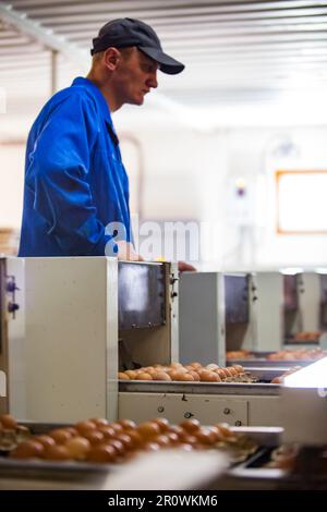 Kazakhstan du Nord - 12 mai 2012 : plante de poule. Machine à emballer les œufs de poulet. Opérateur homme sur fond, flou. Faible profondeur de champ. Banque D'Images