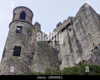 Ancien mur de maison celtique, château de Blarney en Irlande, ancienne forteresse celtique Banque D'Images