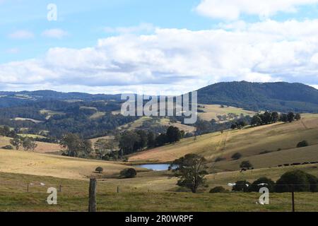 Terres agricoles australiennes rurales dans des montagnes vallonnées avec une vue panoramique avec étang d'eau, vaches et collines à Dorrigo, Nouvelle-Galles du Sud Banque D'Images