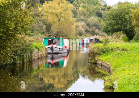 Réflexions sur le canal Kennet et Avon, près de Bath, Somerset, Angleterre Banque D'Images