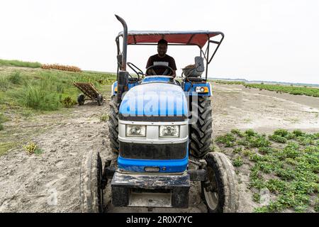 Bon agriculteur assis sur un tracteur. Un agriculteur d'âge moyen conduit son tracteur pendant la récolte dans la campagne Banque D'Images