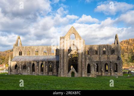 Les ruines de l'abbaye de Tintern, fondée en 1131 par des moines cisterciens, Monbucshire, pays de Galles Banque D'Images