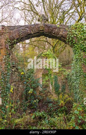 Les ruines de l'église Sainte Marie sur le site d'une chapelle médiévale, probablement construite comme une retraite pour les moines de l'abbaye de Tintern, dans le Monbucshire, au pays de Galles Banque D'Images