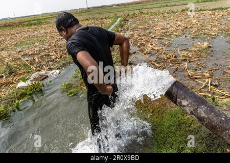 Jeune Guy prenant Une douche debout sous chute d'eau gouttes de lavage arrière corps. Nettoyage hygiénique à l'extérieur Banque D'Images