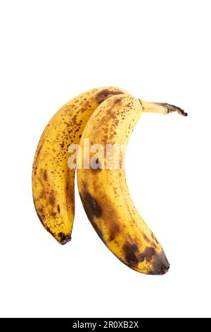 Bananes entières sur fond blanc Banque D'Images