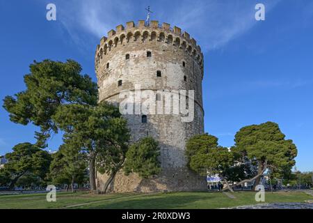 Tour blanche de Thessalonique, Grèce, célèbre point de repère entre pins et destination de voyage pour les touristes dans la ville, ciel bleu un jour ensoleillé, copie Banque D'Images