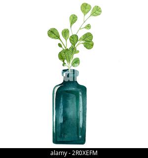 vases en verre isolés avec brindilles peintes en aquarelle, brindilles dans une bouteille en verre peintes en aquarelle, herbe, contenant, plantes, feuilles Banque D'Images