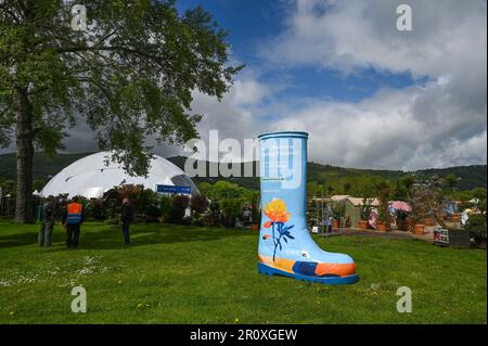 Malvern, Worcestershire, Royaume-Uni. 10th mai 2023. RHS Malvern Spring Festival. Une chaussure wellington géante, adaptée à ce qui pourrait être un festival de printemps de la RHS Malvern à partir de jeudi de cette semaine. Crédit Simon Maycock / Alamy Live News. Banque D'Images