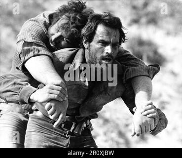 BUD SPENCER ET TERENCE HILL EN DIEU PARDONNE ... JE NE LE FAIS PAS ! / DIO PORDONA ... LO NON ! 1967 réalisateur GIUSEPPE COLIZZO histoire / scénario Giuseppe Colizzo et Gumersindo Mollo musique Carlo Rustichelli co-production Italie-Espagne Cronocinematografica S.p.A. / Productores Exhidores films Sociedad Anonima (PEFSA) Banque D'Images