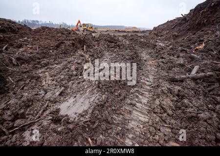 Terre après la coupe de la forêt. Lieu de construction Banque D'Images