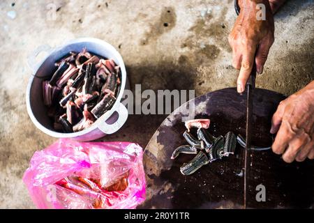 La nourriture vietnamienne a des caractéristiques que très peu de gens savent, le goût est très bon, l'assaisonnement est approprié pour le goût de l'eau Banque D'Images