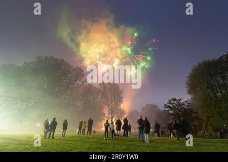 Feu d'artifice d'Ealing Council acton Park Banque D'Images