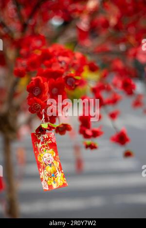 fleurs et feuilles colorées, roses à gros pétale, fleurs à petits pétale, pétales ovales, feuilles vertes de différentes tailles plus grandes qu'une main Banque D'Images
