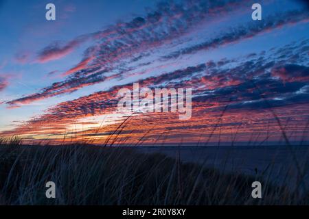 Vue panoramique au coucher du soleil sur les dunes de l'île de Texel aux pays-Bas avec de longues bandes de nuages orange dans le ciel avec l'herbe des dunes Banque D'Images