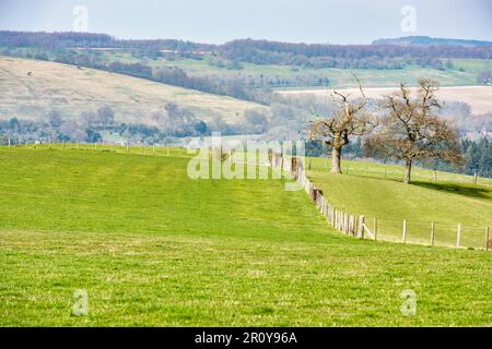 Vue sur les North Downs depuis Wye, près d'Ashford, dans le Kent, en Angleterre Banque D'Images