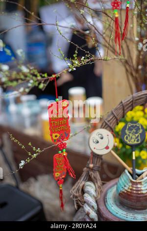 fleurs et feuilles colorées, roses à gros pétale, fleurs à petits pétale, pétales ovales, feuilles vertes de différentes tailles plus grandes qu'une main Banque D'Images