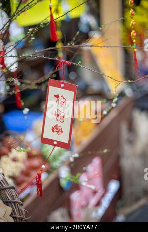 fleurs et feuilles colorées, roses à gros pétale, fleurs à petits pétale, pétales ovales, feuilles vertes de différentes tailles plus grandes qu'une main Banque D'Images