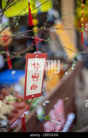 fleurs et feuilles colorées, roses à gros pétale, fleurs à petits pétale, pétales ovales, feuilles vertes de différentes tailles plus grandes qu'une main Banque D'Images