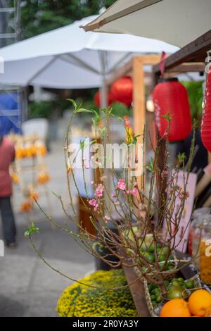 fleurs et feuilles colorées, roses à gros pétale, fleurs à petits pétale, pétales ovales, feuilles vertes de différentes tailles plus grandes qu'une main Banque D'Images