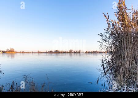 Vue sur la glace presque noire sur la Reeuwijkse Plassen à Reeuwijk, pays-Bas avec une étroite bande de terre au loin et des lits de roseaux devant Banque D'Images