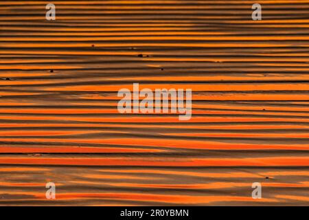 Ondules de sable, un type uniforme en raison des courants d'ondes oscillatoires dans la zone intertidale sur une plage au coucher du soleil. Playa Guiones, Nosara, Guanacaste, Costa Rica Banque D'Images