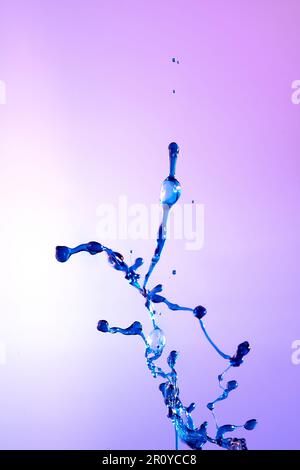 arrière-plan violet abstrait de la projection d'eau bleue, collision de gouttes colorées. Gros plan. Banque D'Images