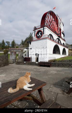 La roue de Laxey a été construite en 1854 pour pomper l'eau de la mine Glen Mooar à Laxey, sur l'île de Man. Aussi connu sous le nom de Lady Isabella Banque D'Images