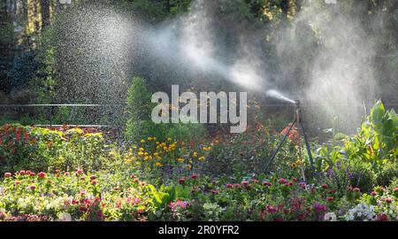 Travail d'arrosage le matin dans le parc d'été. Arrosage de la pelouse avec des fleurs colorées. Vue sur le jardin intelligent activé avec arrosage automatique complet Banque D'Images