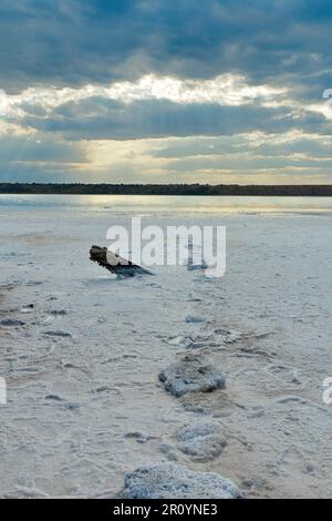 La photo a été prise en Ukraine à l'automne. La photo montre la côte morte de l'estuaire près d'Odessa, recouverte de sel. Il semble que la côte l'est Banque D'Images