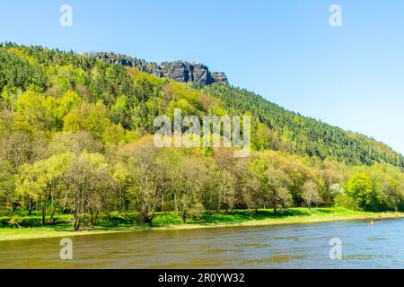 Belle excursion de printemps le long de la piste cyclable d'Elbe de Meissen, via Dresde à Bad Schandau - Saxe - Allemagne Banque D'Images