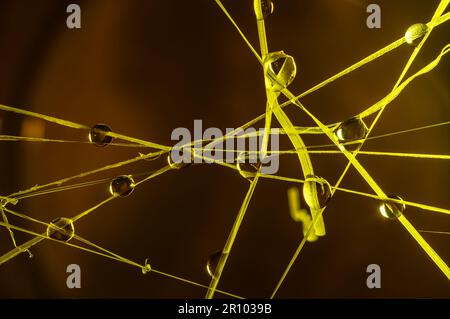 macro de gouttelettes d'eau sur toile de spiderweb,abstrait,dynamique,décor arrière-plan,futuriste stylisé motifs créés par la lumière et l'eau,macro photographie,f Banque D'Images