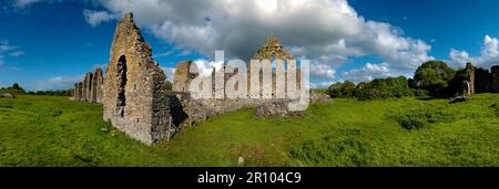 Abbaye d'Athassel Golden, comté de Tipperary, Irlande Banque D'Images