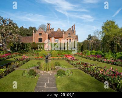 Chenies Manor Garden Tulips en mai. Des tulipes rouges, orange et roses vibrantes plantées en couches dans le jardin en contrebas en terrasse un après-midi agréable. Banque D'Images