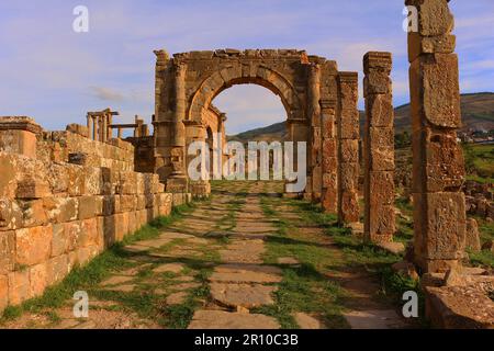 Ruines romaines de Djemila. Cardo maximus. Banque D'Images