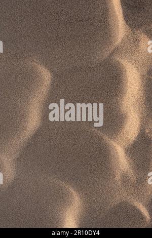 Vue détaillée du sable sur les dunes de sable de la plage Banque D'Images