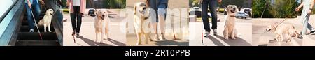 Collage avec photos de personnes avec chiens guides, gros plan. Bannière Banque D'Images