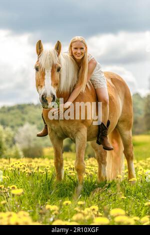 Une jeune femme blonde et son cheval haflinger appréciant leur temps au printemps dehors. Scène d'amitié entre une équestrienne et son poney Banque D'Images