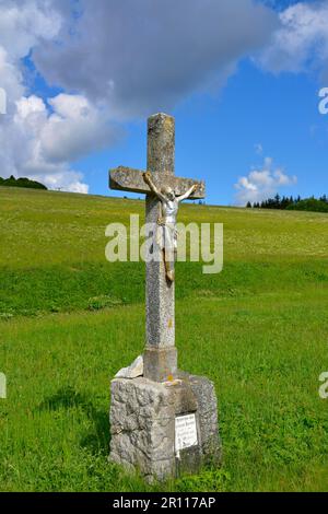 Forêt noire, Bade-Wurtemberg, Forêt Noire supérieure, Crucifix dans le pré Banque D'Images