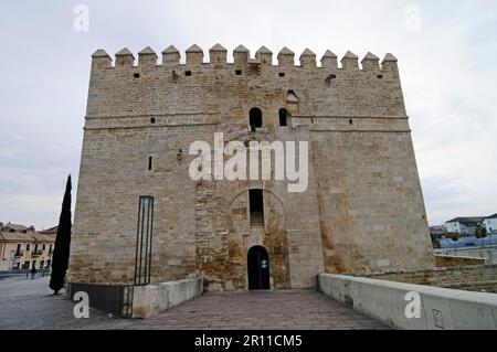 Torre la Calahorra, tour, Musée des trois cultures, Cordoue, province de Cordoue, Andalousie, Espagne Banque D'Images