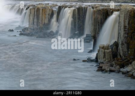 Cascade Selfoss, rivière Joekulsa a Fjoellum, parc national de Joekulsargljufur, parc national de Vatnajoekull, Islande Banque D'Images