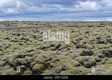 Route circulaire près de Kirkjubaijarklaustur, Klaustur, route circulaire, Islande du Sud, Islande Banque D'Images