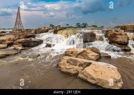 Panier de pêche de la tribu Wagenya, Kisangani, fleuve Congo, RD Congo Banque D'Images