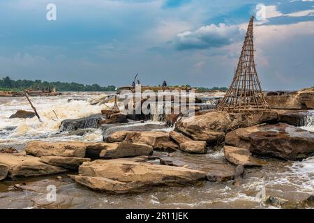 Panier de pêche de la tribu Wagenya, Kisangani, fleuve Congo, RD Congo Banque D'Images