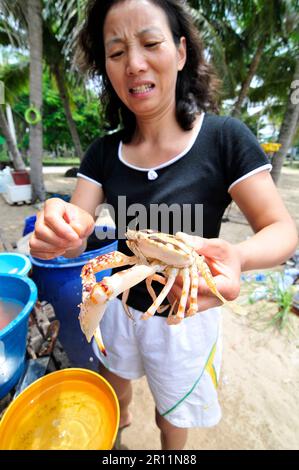 Femme asiatique tenant un crabe vivant sur la plage de Ban Krut, Prachuap Khiri Khan, Thaïlande. Banque D'Images